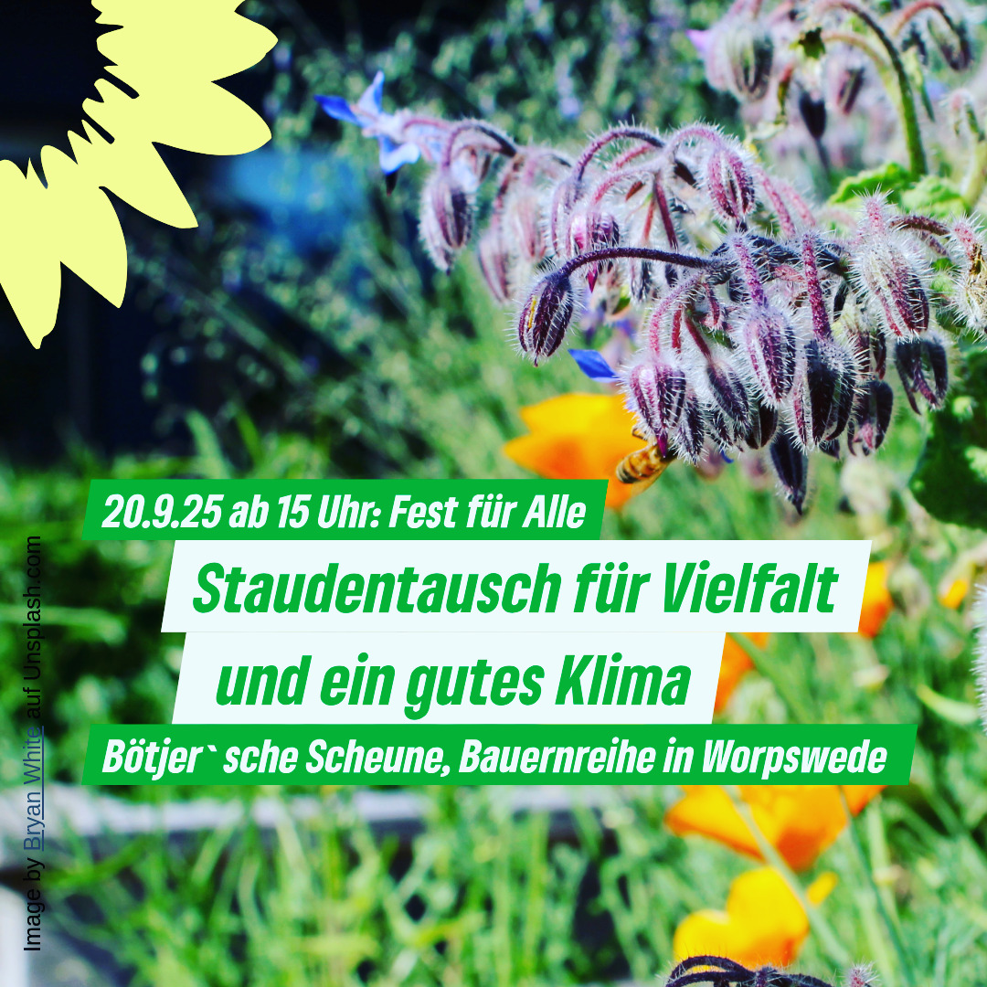 🌿 GRÜNE TAUSCHBÖRSE 🌿
Teilt eure Pflanzen-Schätze! 🌱

✨ Am 20. September sind wir beim "Fest für Alle" in der Bötjer'schen Scheune Worpswede mit unserer beliebten Staudentauschbörse dabei! 🌷🌳

So funktioniert's: Bring mit, was in deinem Garten zu viel wächst - nimm mit, was du schon immer haben wolltest! 💚 Kostenlos & nachhaltig!
Warum mitmachen? 🐝 Mehr Artenvielfalt! 🦋 Nahrung für Insekten! 🌍 Lebendige Böden!

Abgabe ab 12 Uhr möglich. Bitte nur heimische/nicht-invasive Arten, gerne in kleinen Teilen und am besten beschriftet! 📝 Von der Blume bis zum kleinen Baum. 

#GrüneWorpswede #Pflanzentausch #Artenvielfalt #Naturgarten #FestFürAlle #Biodiversität #GrünerDaumen #Nachhaltigkeit #klimaschutzjetzt