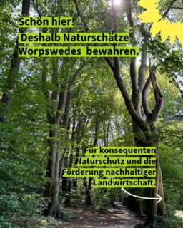 Unser Herzensthema: die Bewahrung der Natur 💚
#grüneworpswede #kommunalwahl2026 #machsgrün