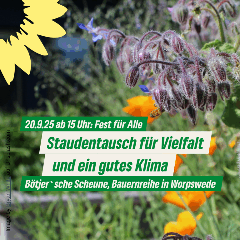 Staudentausch für mehr Artenvielfalt: Grüner Ortsverband Worpswede lädt zum „Fest für Alle“